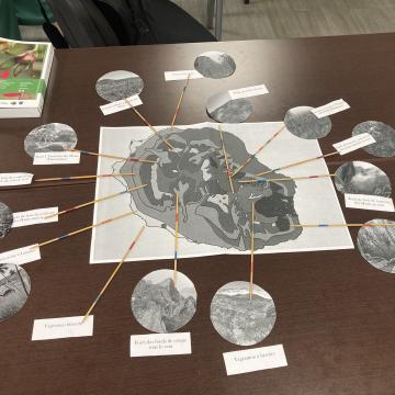 Formation première initiation